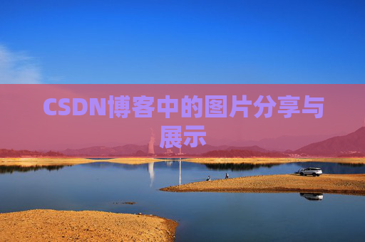 CSDN博客中的图片分享与展示